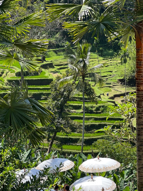 Tourist documents Tegallalang Rice Terraces during morning visit