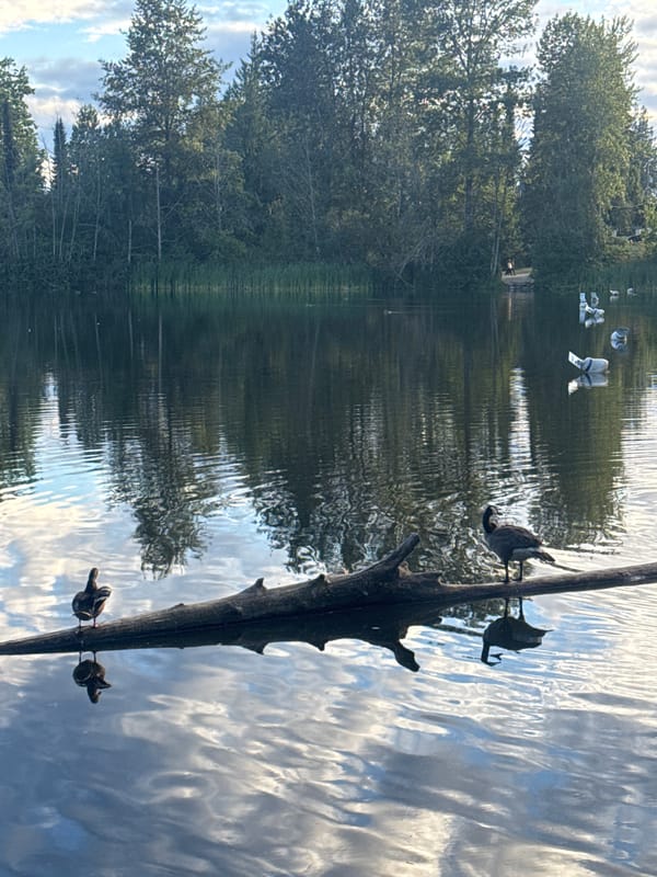 Wildlife and public art at Colony Farm Park, Coquitlam