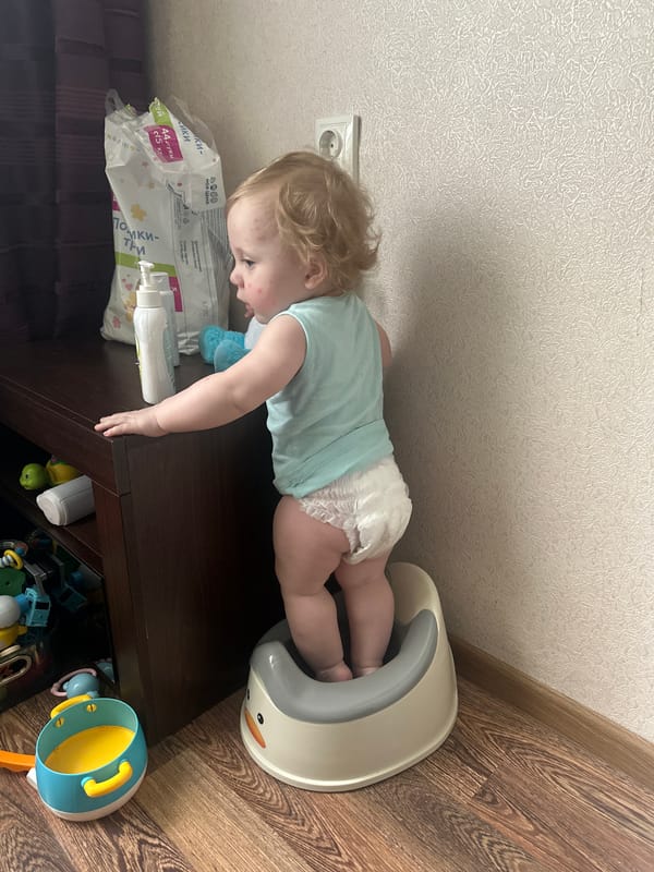 Domestic moments: toddler potty training, poodle interactions in Sayanogorsk