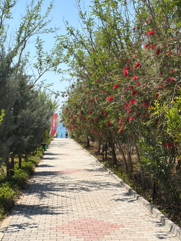 Morning scenes captured around Manavgat, Turkey waterfront area