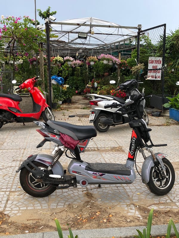 Morning street life and café stops across Đà Nẵng