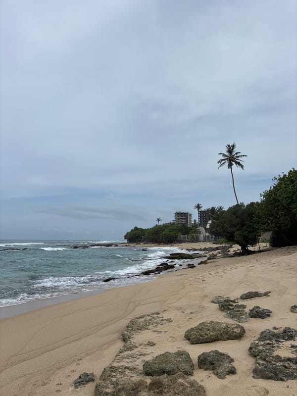Morning scenes from Thalaramba beach village documented by witness