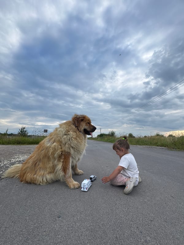 Kid and golden dog share a moment on a quiet Russian road