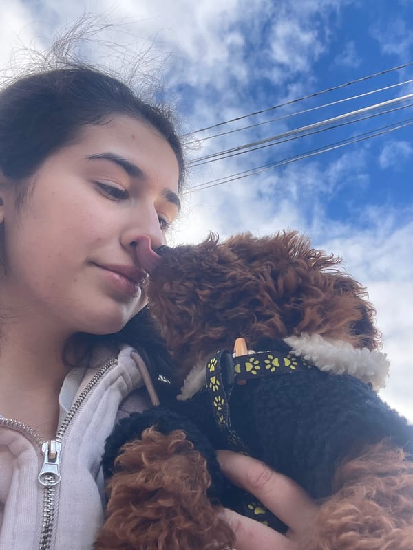Dog owner enjoys afternoon outing with poodle in Sofia