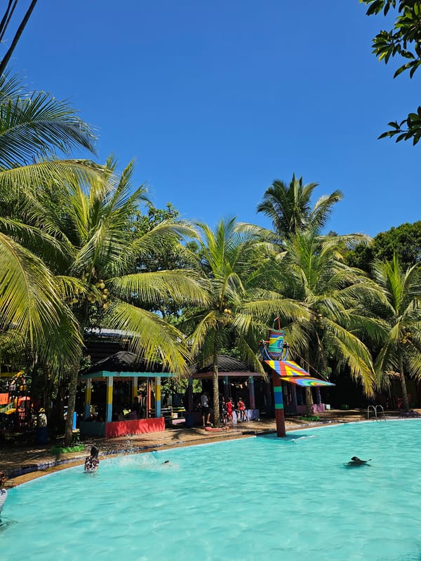 Swimming pool with palm trees documented in Jasinga, Indonesia