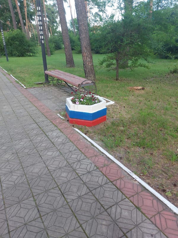 Belogorsk park's rides, pines, and flowers on a summer morning
