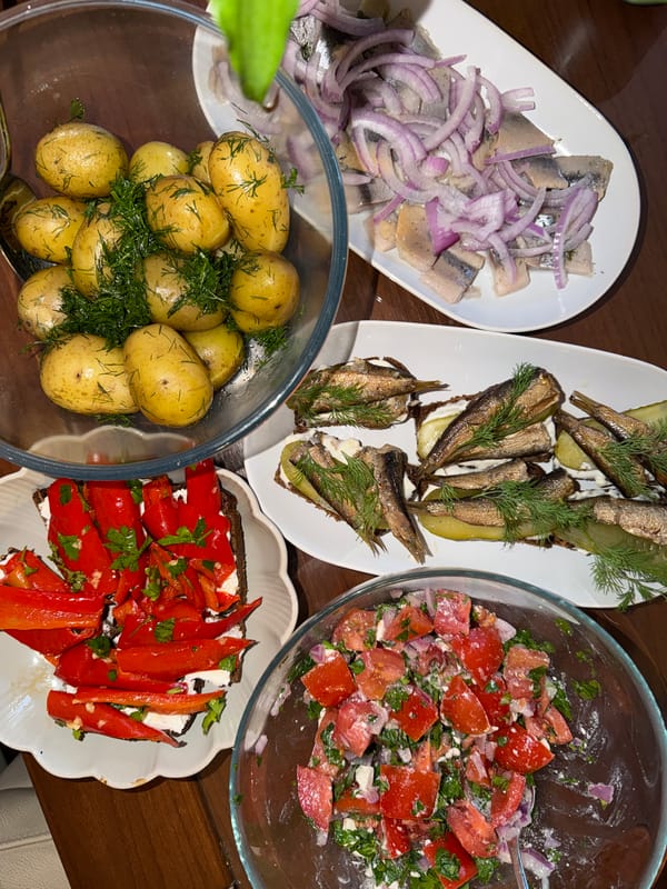 Traditional Balkan meal spread documented in Budva, Montenegro