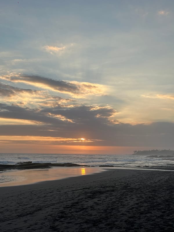 Surfing and sunset vibes at a tropical dark-sand beach