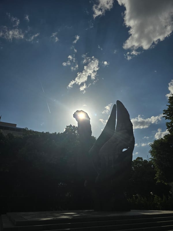 Scattered urban observations capture everyday moments across multiple locations