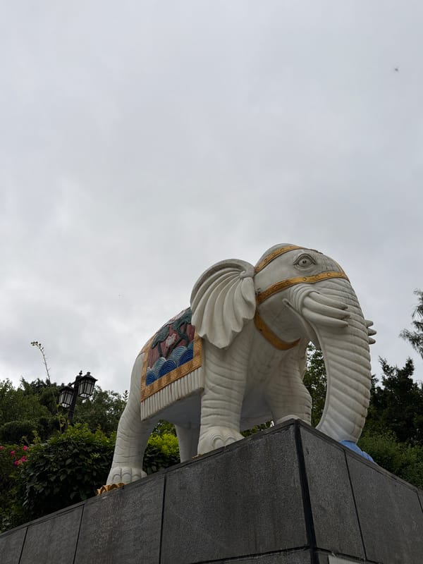 Morning walking tour documents traditional architecture in Longgang District