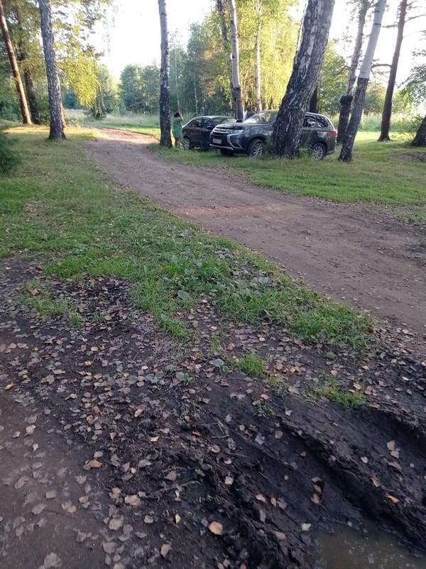 Informal forest gathering with vehicles parked off a dirt road
