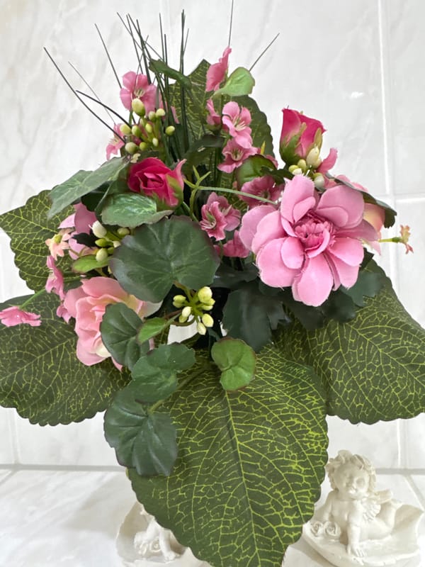 Indoor plant photography session in Bietigheim-Bissingen