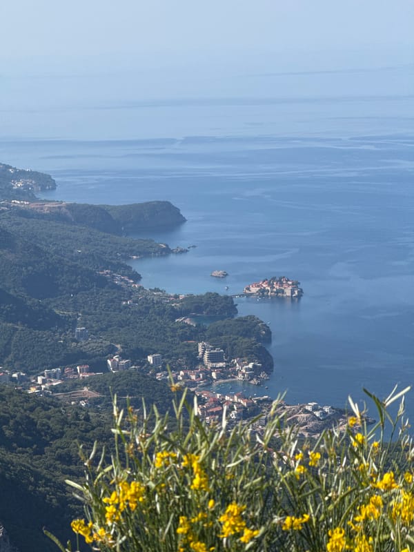 Adriatic coastal city from above, wildflowers and sea in frame