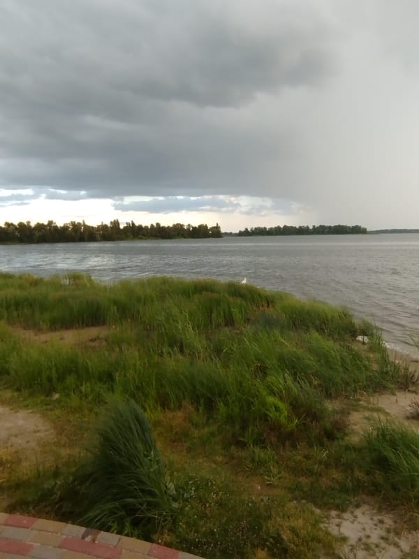 Stormy skies and egrets along the Dnieper riverbank
