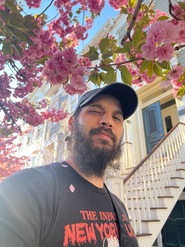 Person captures selfie among blooming cherry blossoms in Newburgh