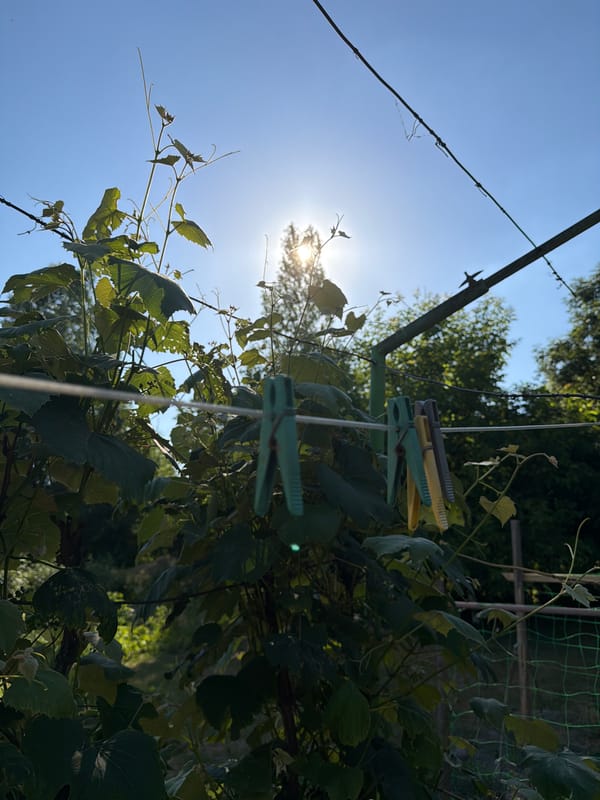 A busy summer day working and playing in a Ukrainian garden