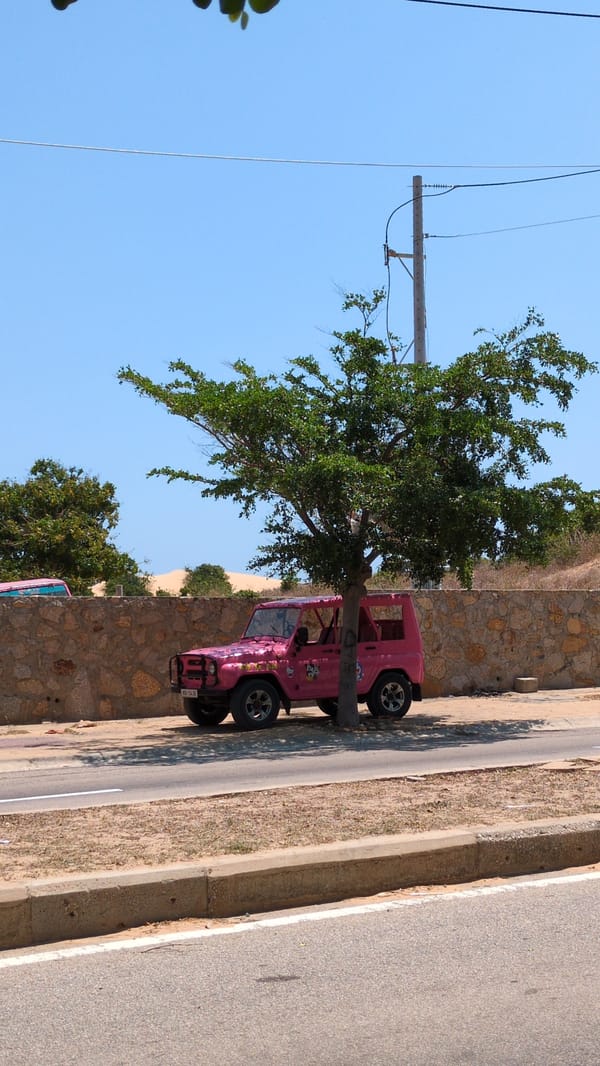 Pink Off-Road Vehicles Spotted at Mui Ne Sand Dunes