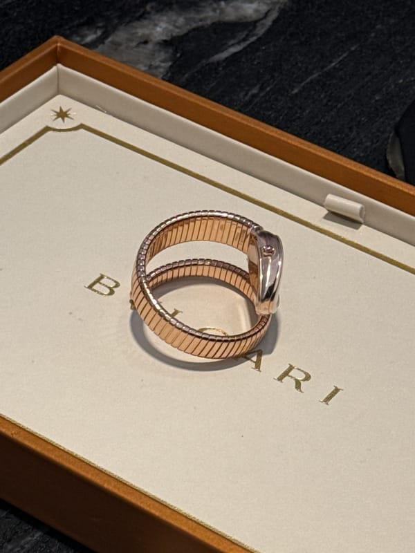 Woman documents luxury shopping experience at Tel-Aviv jewelry boutique