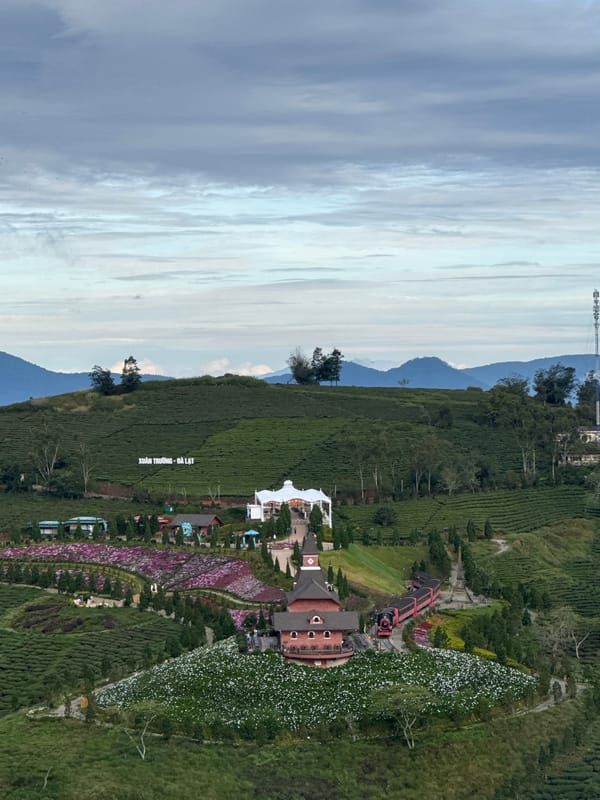 Wind turbines dot Vietnamese tea plantation landscape near midnight