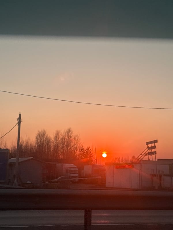 Orange sunset observed through trees in Pargolovo, Russia