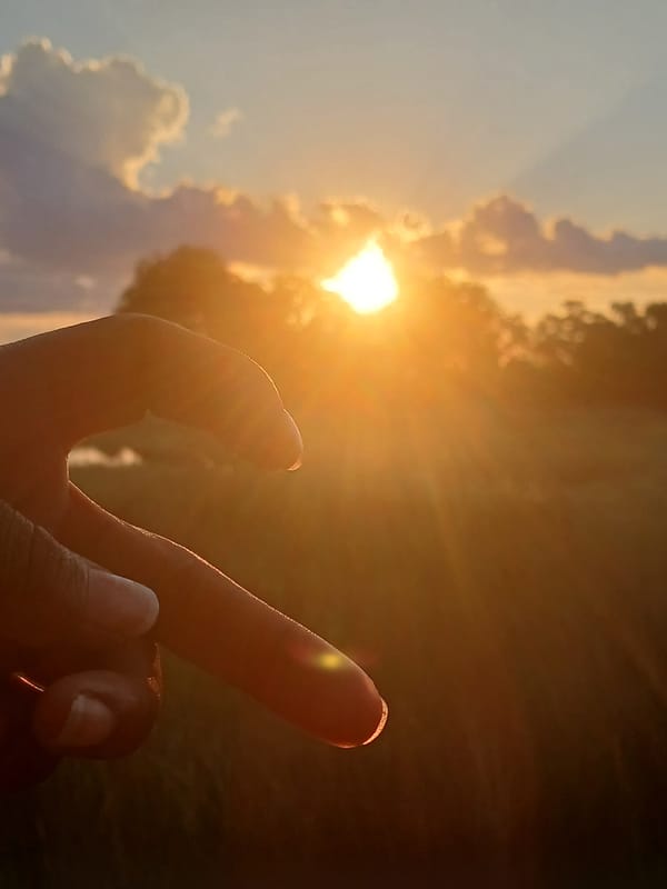 Sunset champagne moment captured on Botswana boardwalk