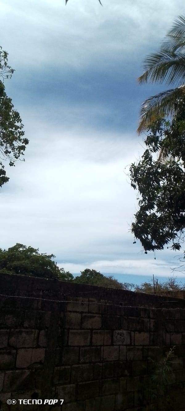 Sky watching session documented in Venezuelan town