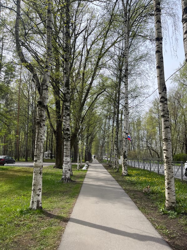Spring foliage emerges around Pushkin-Shushary area, Russia