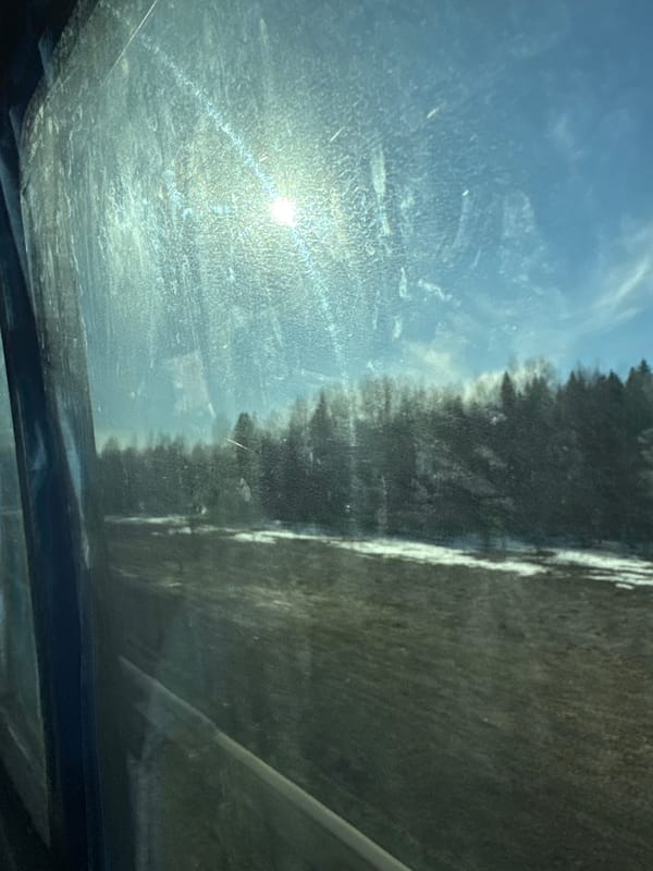 Vehicle passengers photograph landscape through sunroof in Yarino, Russia