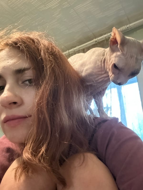 At-home GRWM shoot with a Sphynx cat in Togliatti