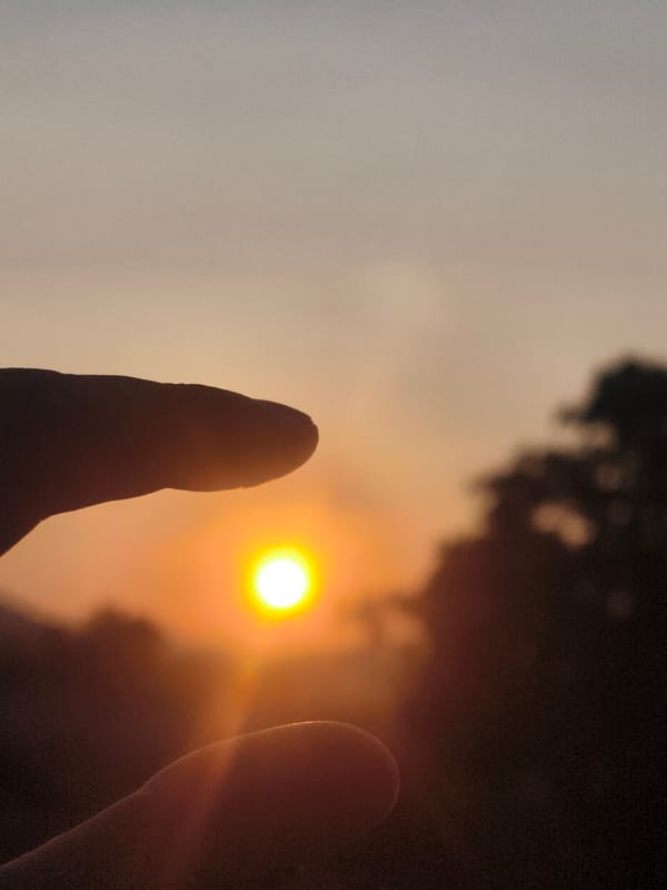 Morning walk reveals friendly dog, crumbling buildings in บ้านบางรักษ์