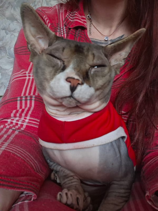 Woman shares morning moments with cats in rural Belarus home