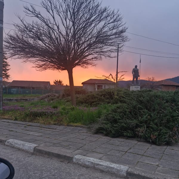 Man photographs sunset from moving car during evening drive