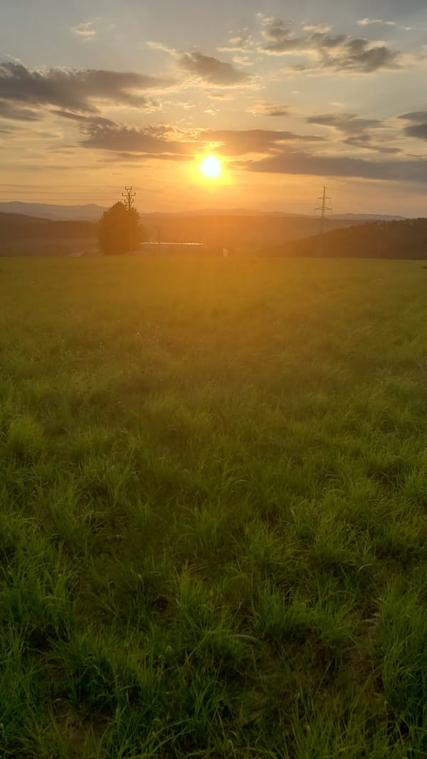Sunset panoramas over Prešov from a grassy hilltop