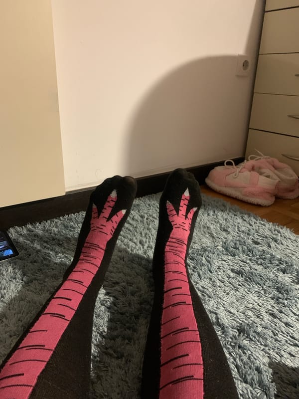Quiet evening at home with novelty socks in Belgrade