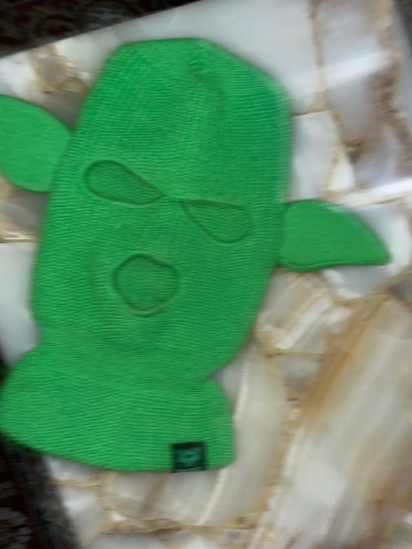 Person displays knitted turtle, snake necklace in La Lucila