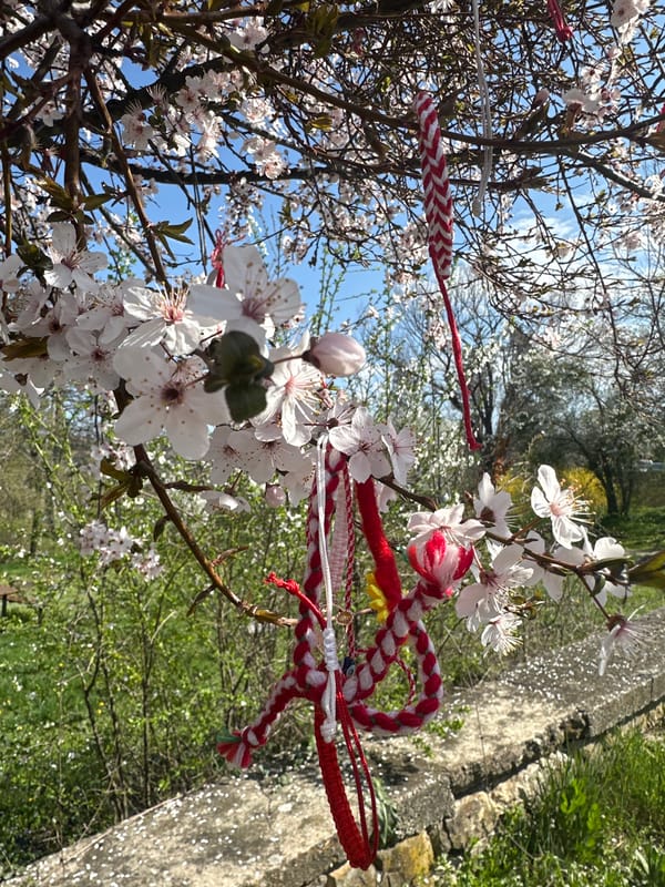 Spring blooms meet tradition in Bulgarian village tree display