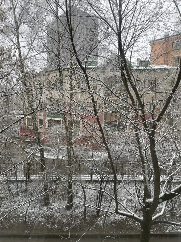 Winter scene documented in Moscow with snow-covered trees