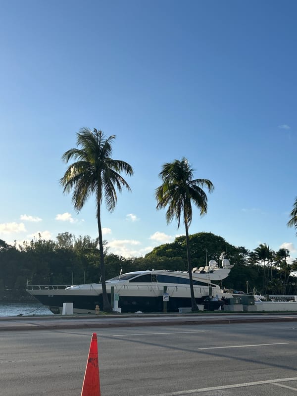 Woman films self-portrait walk at Miami Beach marina