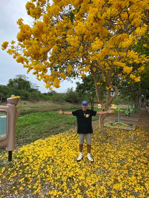 Afternoon scenes captured across Río Chico, Venezuela parks and landmarks