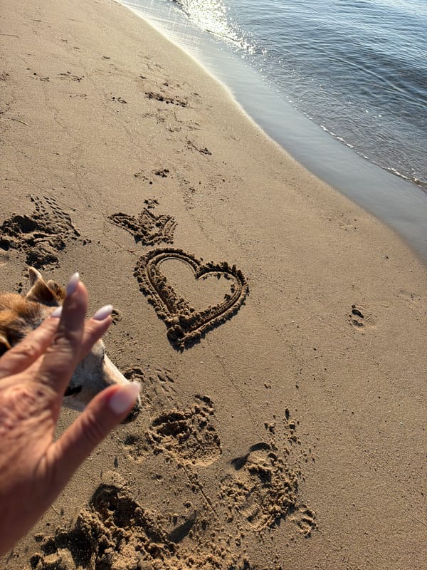 Morning dog walk on Spanish beach features heart in sand