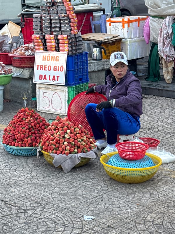 Da Lat street life: markets, lakeside paths, and evening foot traffic