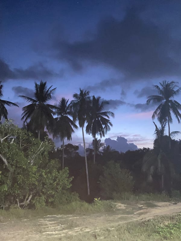 Evening palm trees silhouetted against purple sky in Indonesia