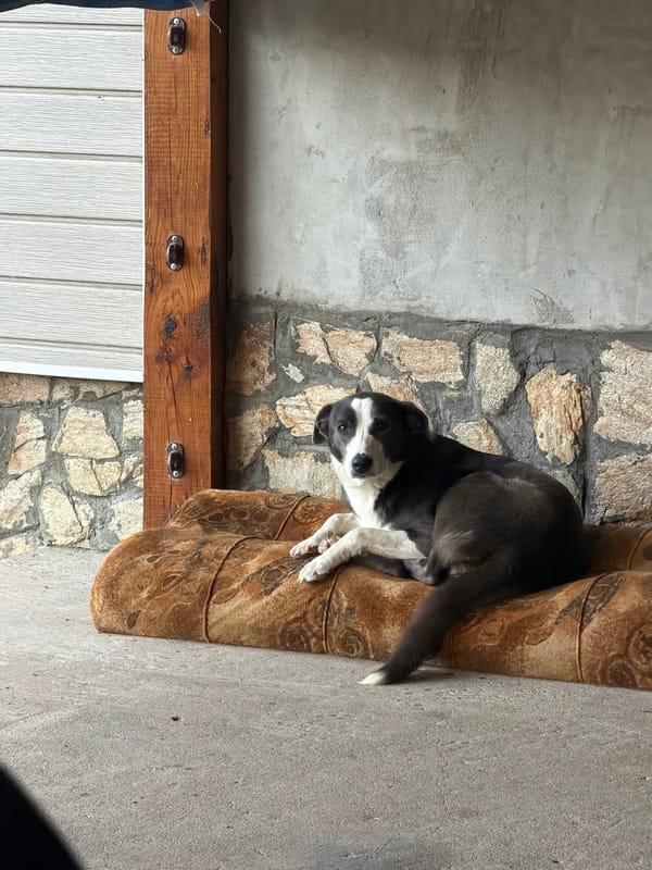 Early morning domestic life documented in Iskar, Bulgaria