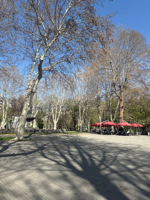 Spring morning scenes captured near Yerevan's Matenadaran Institute