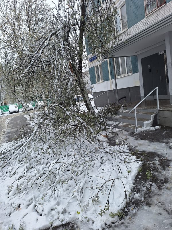 Heavy snowfall covers Moscow buildings and streets Monday morning