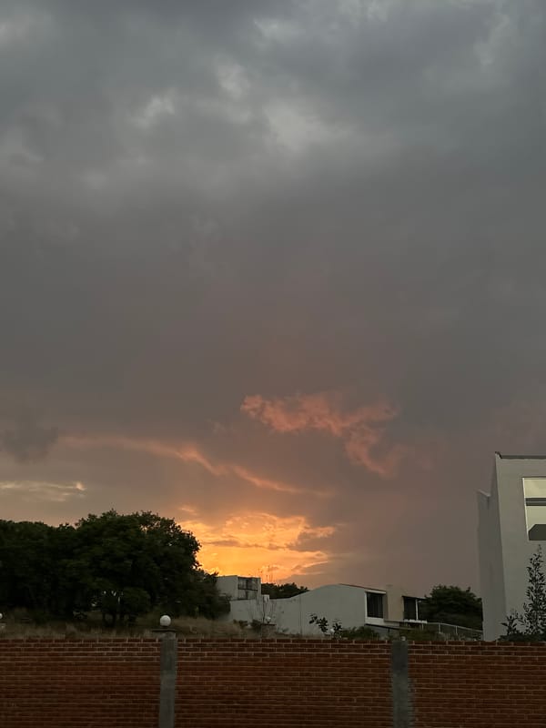 Orange glow illuminates horizon above silhouetted trees and buildings