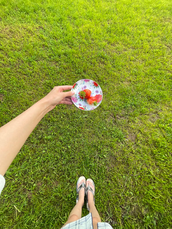 Fresh strawberries on a decorative plate, backyard in Sharkan