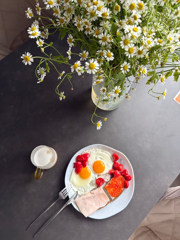 Morning moments: flowers and cat companionship at home