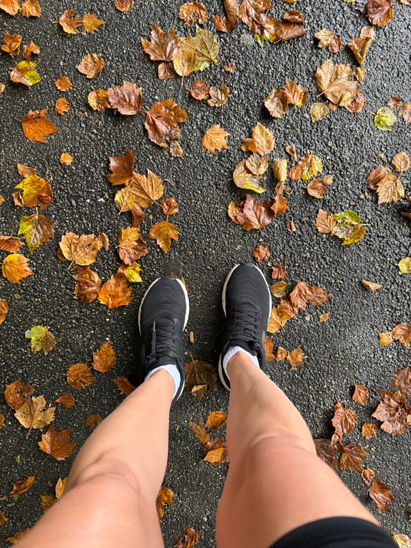 Autumn leaves on wet Sochi pavement, quick selfie stop