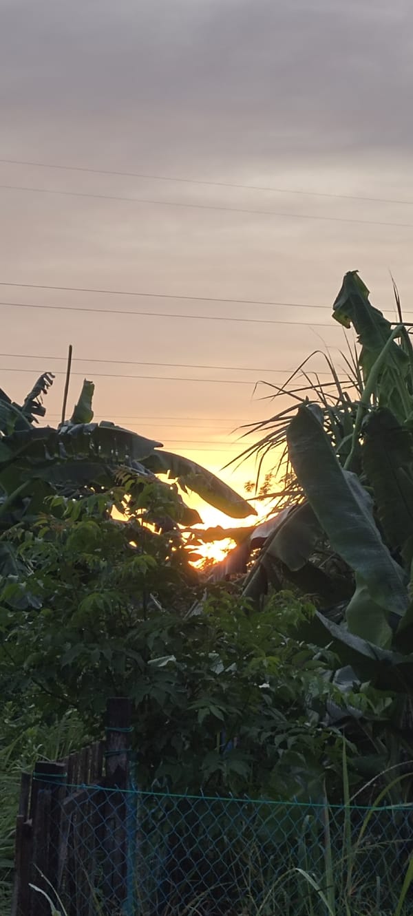 Colorful sunset documented over tropical landscape in Lhokseumawe, Indonesia